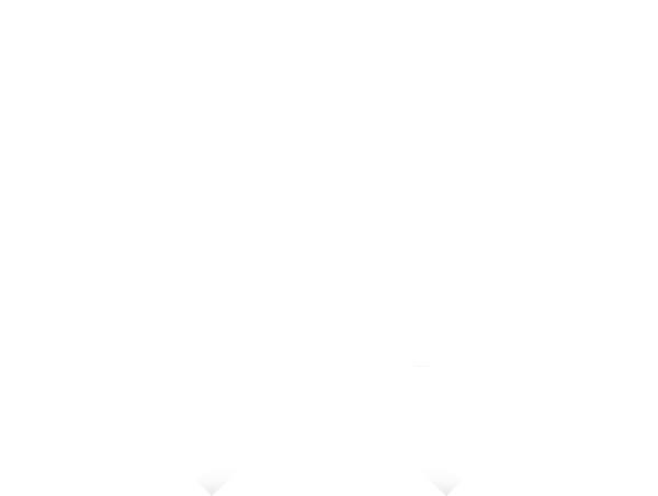 SSi Fire Logo
